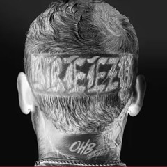 Chris Brown  Butterflies and Roses