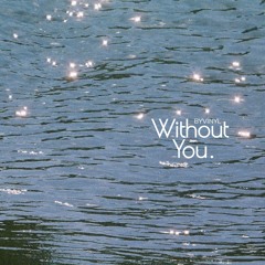 Byvinyl 01 Without You