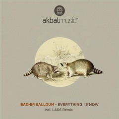 Bachir Salloum - Sunflower Fields (LADS Remix) [Akbal Music]