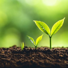 Sức Chịu Đựng Và Lòng Kiên Trì