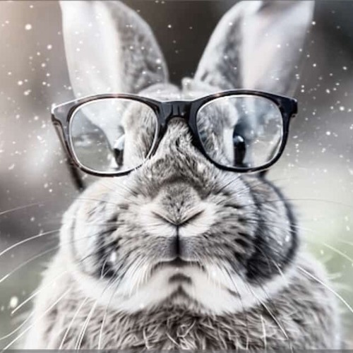 fall 2025 samples 1/2 (prod. luvvhate)