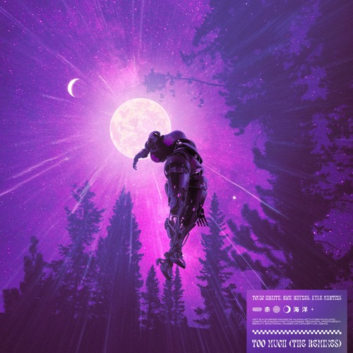 Toxic Wraith, Rick Rhynes, KYLE MARTINS - Too Much (paulø Remix)