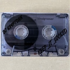 Vinylgroover - Studio Mix 1995