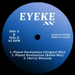 Planet Destination (Radio Mix)