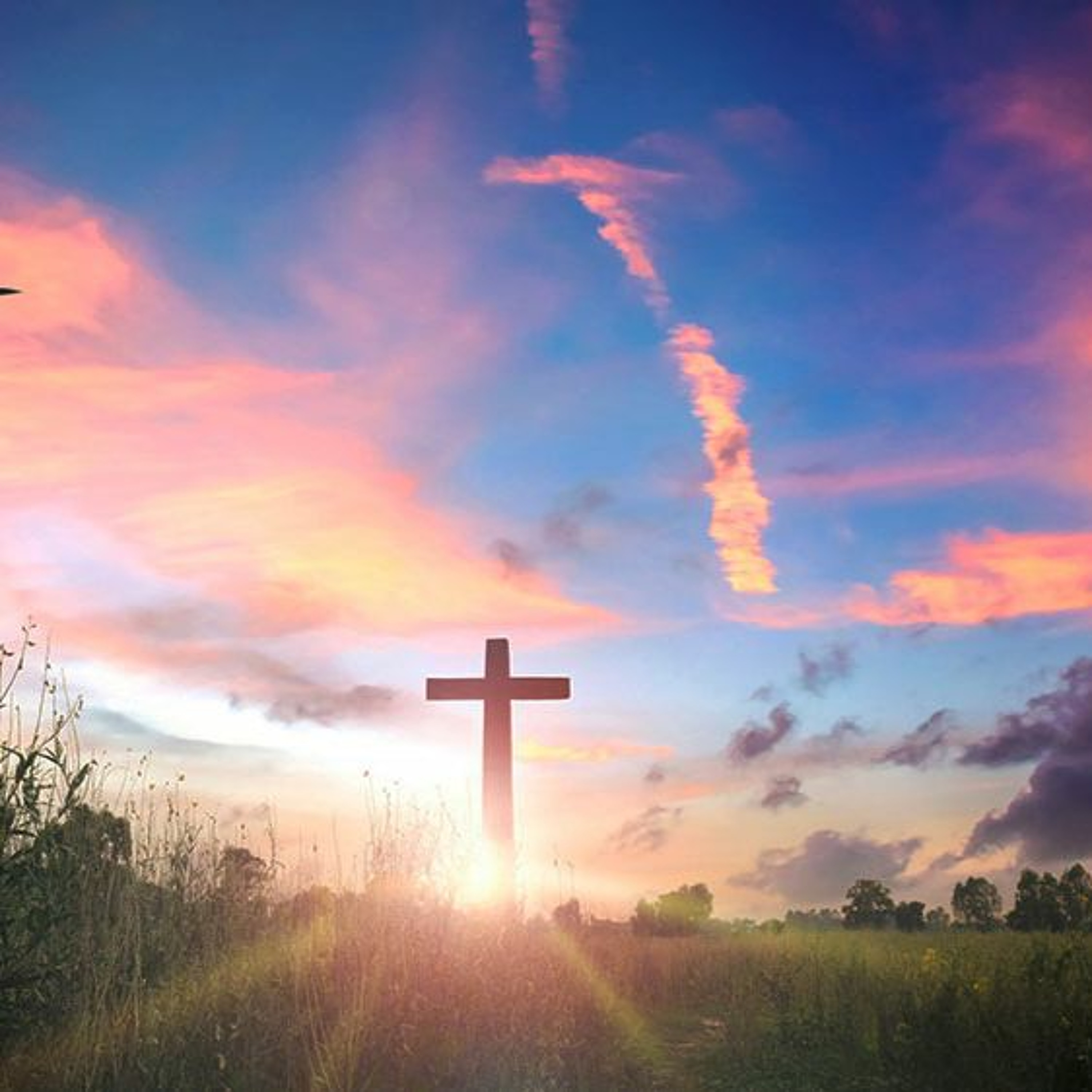 Dead to Sin, Alive in Christ