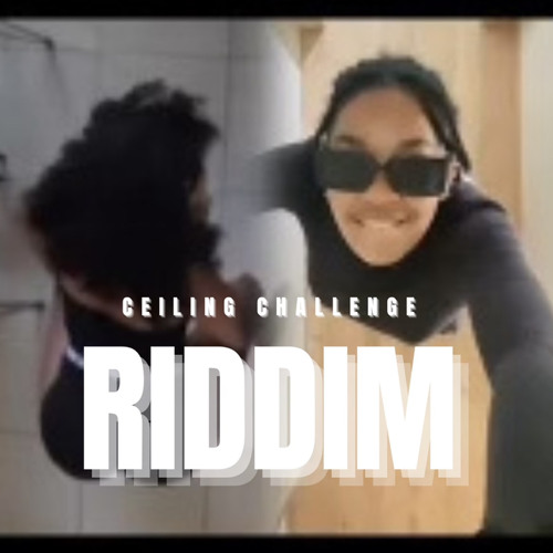 Ceiling Challenge Riddim