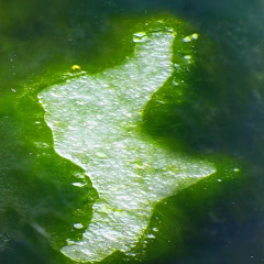 TRITON Ep.2 w/ Invernomuto (18.12.2025)