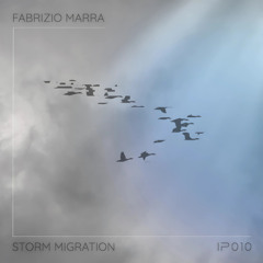 ***SNIPPET*** Storm Migration - Fabrizio Marra
