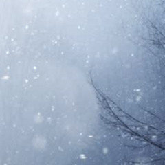 Jewels in the playground