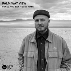 Palm Way View - 02 November 2025