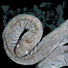 Amphibikotherium