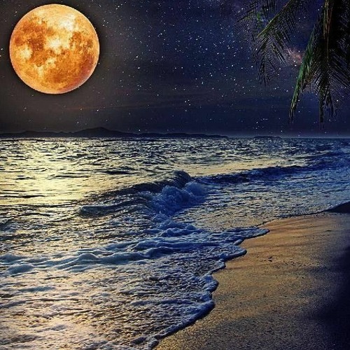 عبد_الحليم_حافظ_(_الهوى_هوايا_)_فيديو_من_فيلم_ابي_فوق_الشجرة_(Abdel_Halim_Hafez)(128k).m4a