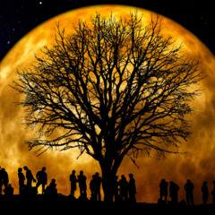 Bad Moon Rising by CCR Hard Rock Cover