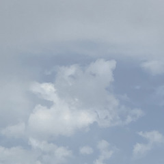 سورة الفتح | عبدالرحمن مسعد