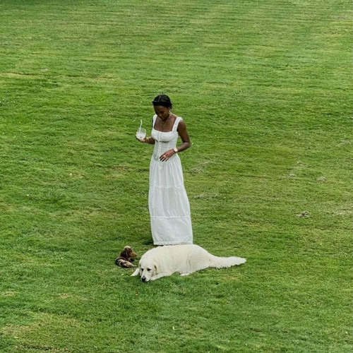 y they be winnin flip ¿?