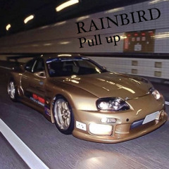 RAINBIRD - Pull Up