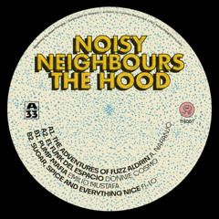 PREMIERE: Emilio Mustafa - Pump Mafia [Noisy Neighbours]
