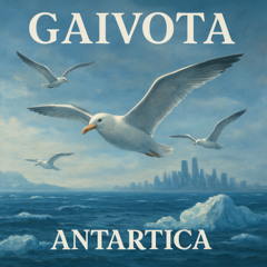 Antartica - Gaivota