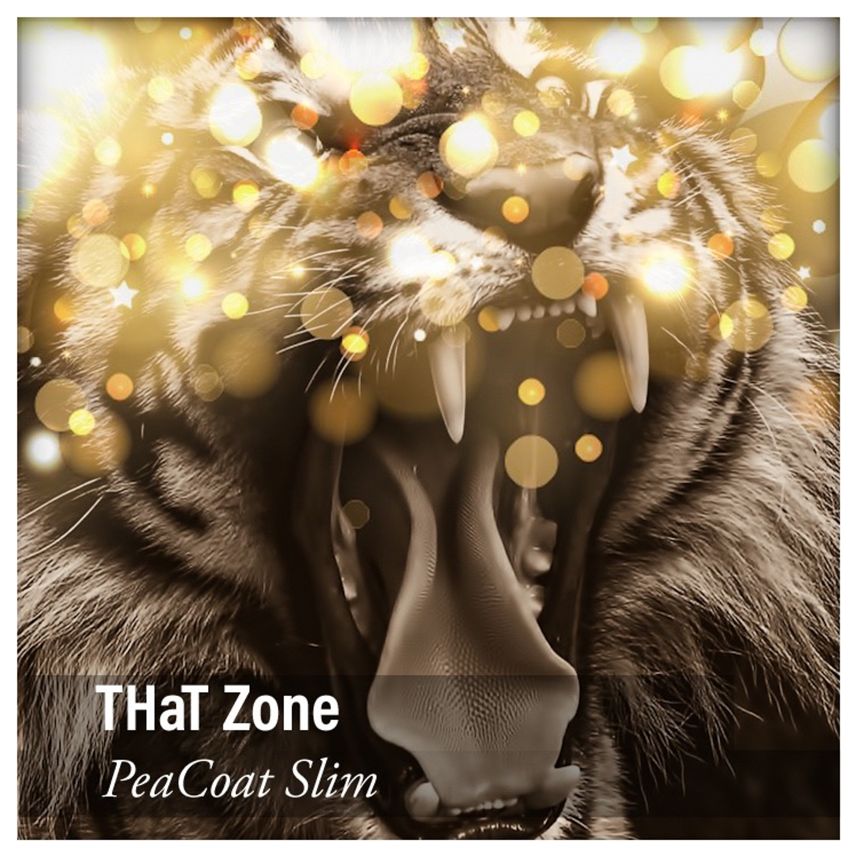 THaT Zone (Stargaze) episode artwork