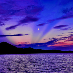 JoeyHapoens- Purple Ocean