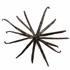 VANILLA BEAN