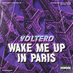 VOLTERO - WAKE ME UP IN PARIS (Tekkno Remix)