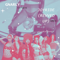 A GNARLY JOYRIDE (DJ MICK'S MIX)