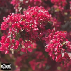 P!nk Shades (prod. by 16bitspit)