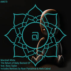 The Return of Baby Bastard (Ryan Pamatmat Remix) [feat. Ross Taylor]