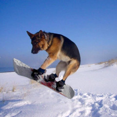 instinctive moves