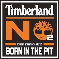 DR#22 Born in the pit by Negative object