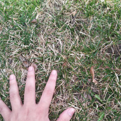 #touchgrass potrogai travu