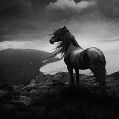 Mix of Anasheeeeeedz 33-  أناشيد بدون موسيقى