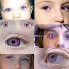 9mice - RIOT MUZIK *snippet 29.03.23