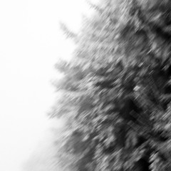 IPARUN DEMENTOR B2B MOLOX