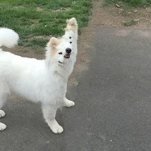 ortmanns face comin closer ♣