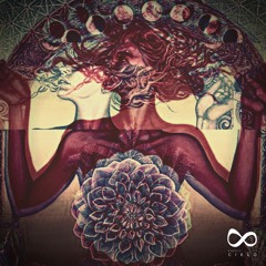 Calystarr - Walking From The Border (Original Mix)