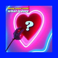 WHAT IS LOVE  deep house mix WJL cover