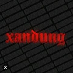 t-low - XANDUNG
