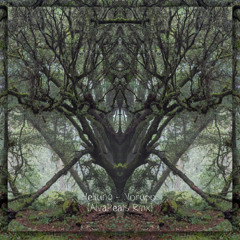 Heilung - Norupo (AlvaPeals Rmx)