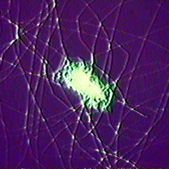 Falling For Neptune - Ambient x Experimental [FREE DOWNLOAD]