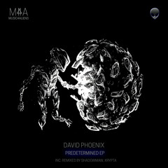 David Phoenix - Neural Partitioning (Shadowmaw Remix)