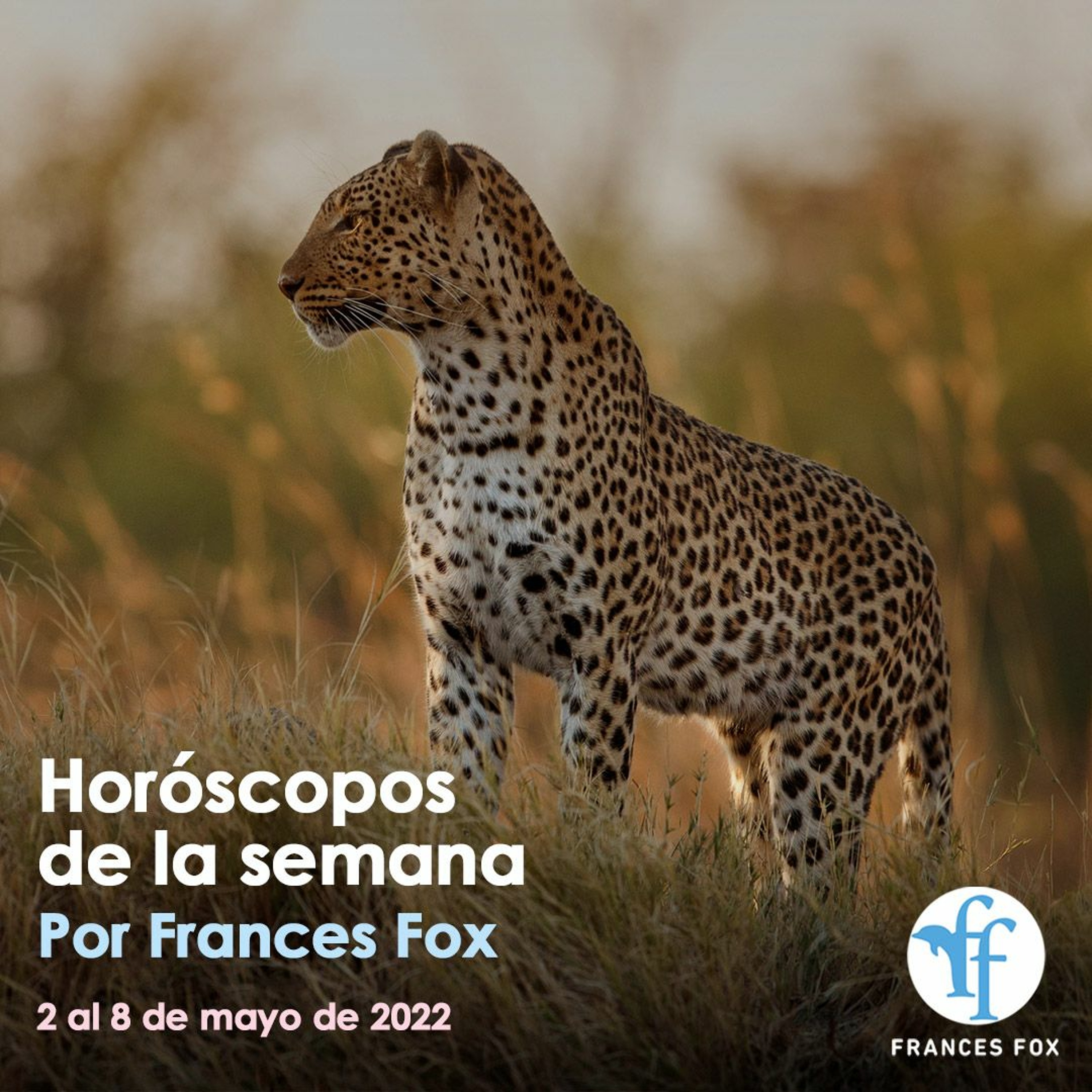 Horóscopos y mantras del 2 al 8 de mayo de 2022