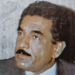 ‎⁨محمد جواد أموري - مَنفاي⁩