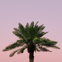 crawl by chris brown