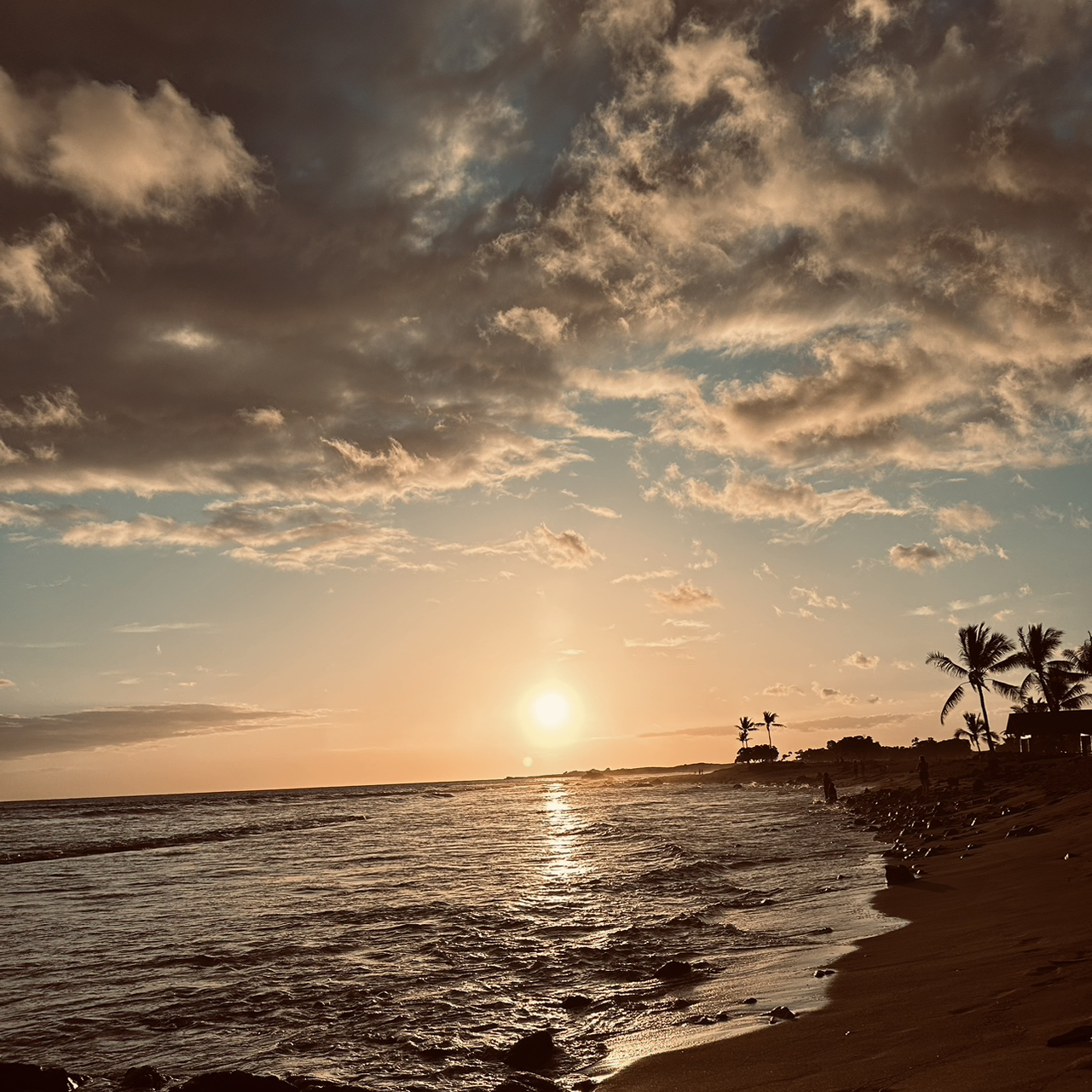 Oh Banana – by Garden Rootz 🫶🏽💃