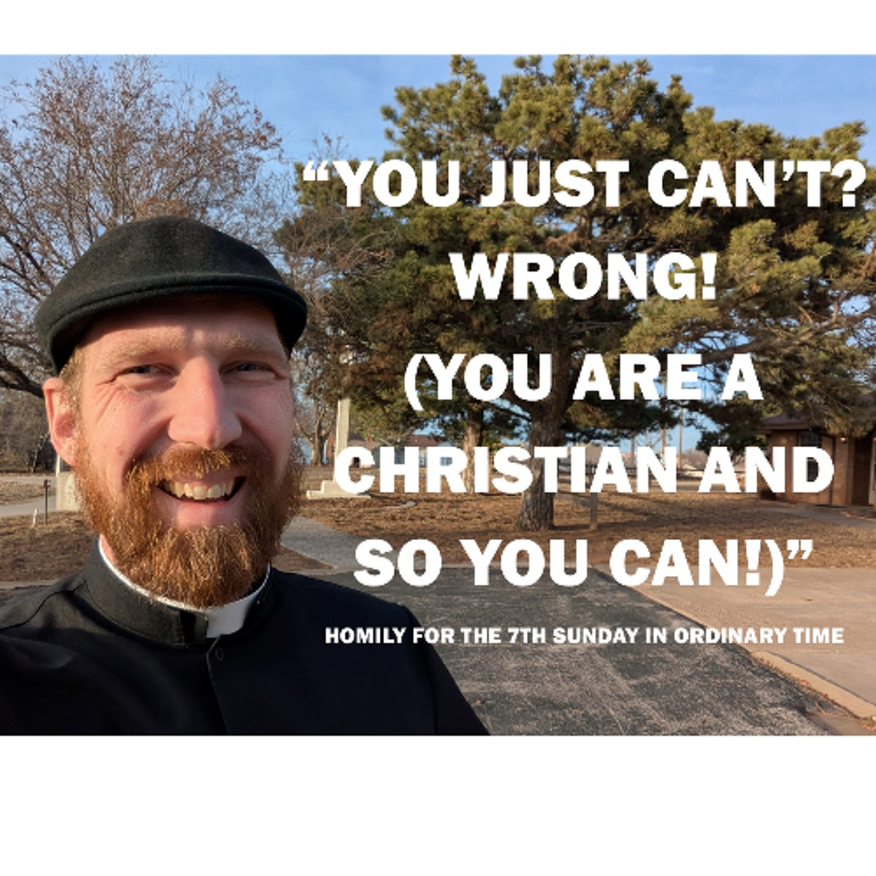 You Just Can't? Wrong! - You Are a Christian and So You Can! (Homily for the 7th Sunday in OT)