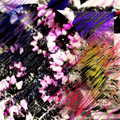 The Gardener