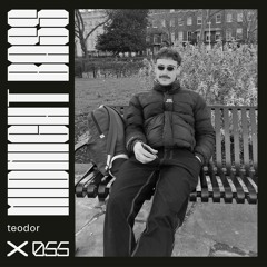 Midnight Mix 056 | Teodor