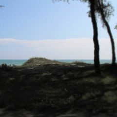 New Horizons